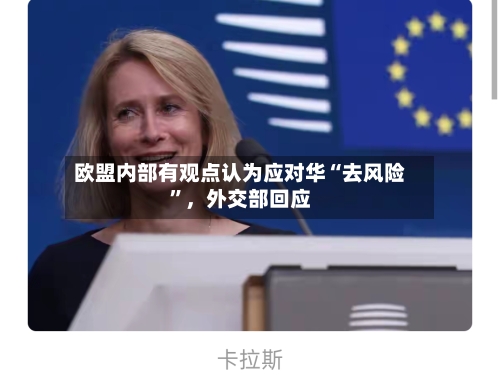 欧盟内部有观点认为应对华“去风险	”	，外交部回应-第2张图片