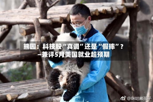 熊园：科技股“真调”还是“假摔”？—兼评5月美国就业超预期-第3张图片