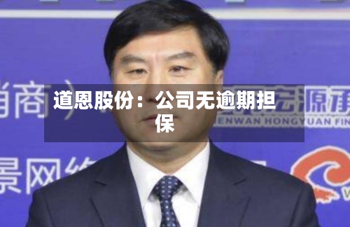 道恩股份:公司无逾期担保-第3张图片