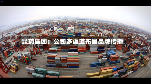 昆药集团:公司多渠道布局品牌传播-第2张图片