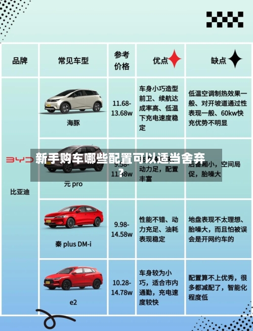 新手购车哪些配置可以适当舍弃?-第3张图片