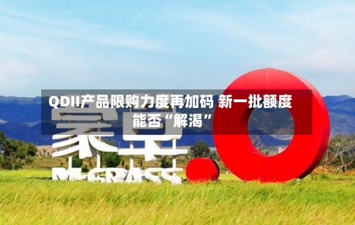 QDII产品限购力度再加码 新一批额度能否“解渴	”-第3张图片