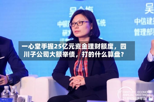一心堂手握25亿元资金理财额度，四川子公司大额举债，打的什么算盘？