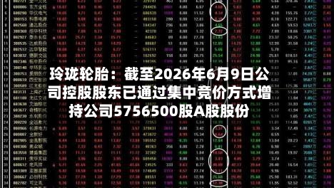 玲珑轮胎：截至2026年6月9日公司控股股东已通过集中竞价方式增持公司5756500股A股股份