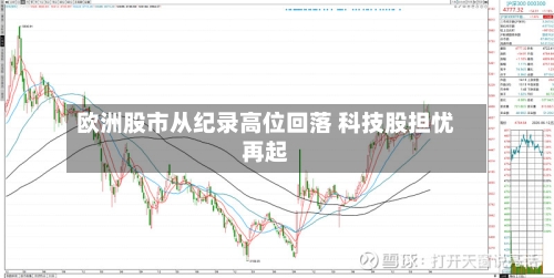 欧洲股市从纪录高位回落 科技股担忧再起-第3张图片