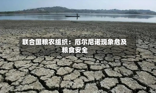 联合国粮农组织：厄尔尼诺现象危及粮食安全
