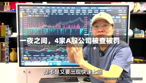 一夜之间，4家A股公司被查被罚-第2张图片