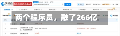 两个程序员，融了266亿