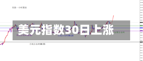 美元指数30日上涨-第2张图片