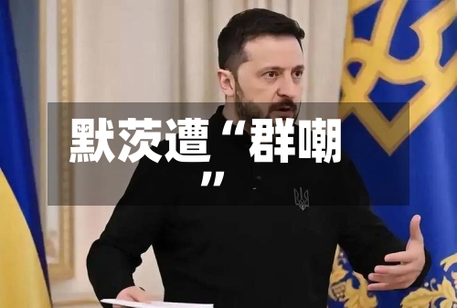 默茨遭“群嘲”-第2张图片