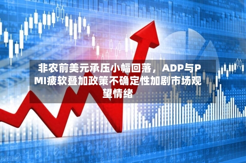 非农前美元承压小幅回落，ADP与PMI疲软叠加政策不确定性加剧市场观望情绪-第3张图片