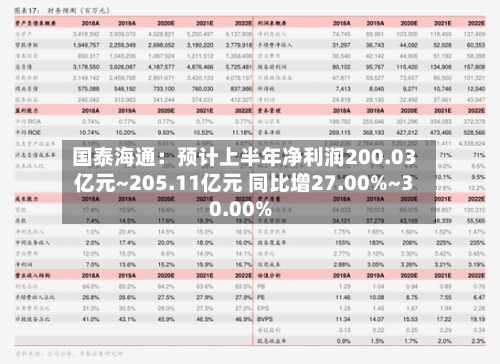 国泰海通:预计上半年净利润200.03亿元~205.11亿元 同比增27.00%~30.00%-第2张图片