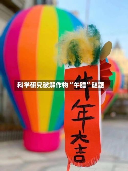 科学研究破解作物“午睡”谜题-第2张图片