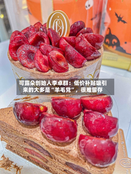 可露朵创始人李卓群：低价补贴吸引来的大多是“羊毛党”，很难留存