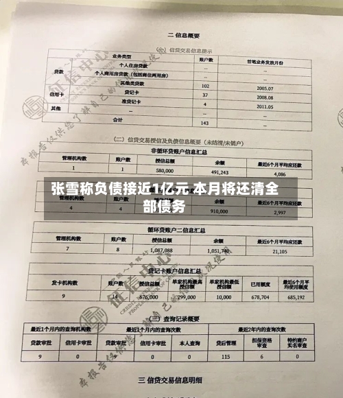 张雪称负债接近1亿元 本月将还清全部债务