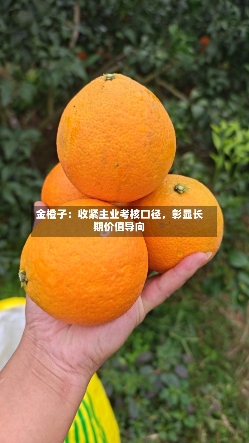 金橙子：收紧主业考核口径，彰显长期价值导向-第2张图片