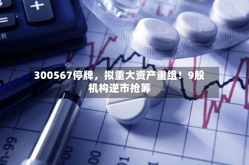 300567停牌，拟重大资产重组！9股机构逆市抢筹-第2张图片