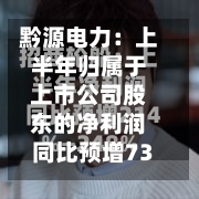 黔源电力:上半年归属于上市公司股东的净利润同比预增73.01%—100.54%