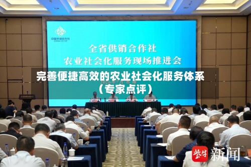 完善便捷高效的农业社会化服务体系(专家点评)-第3张图片