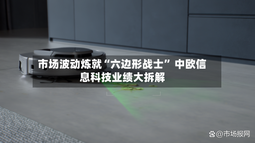 市场波动炼就“六边形战士” 中欧信息科技业绩大拆解-第2张图片