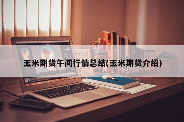 玉米期货午间行情总结(玉米期货介绍)