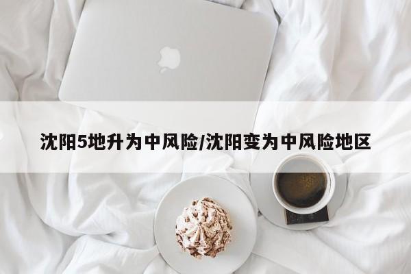 沈阳5地升为中风险/沈阳变为中风险地区
