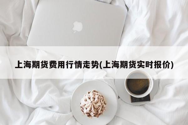 上海期货费用行情走势(上海期货实时报价)
