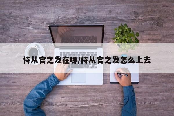 侍从官之发在哪/侍从官之发怎么上去
