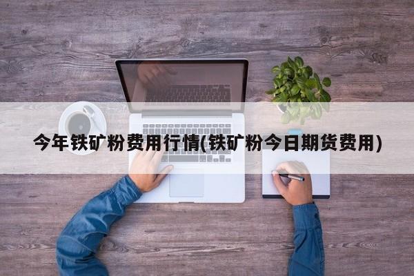 今年铁矿粉费用行情(铁矿粉今日期货费用)
