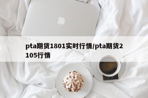 pta期货1801实时行情/pta期货2105行情