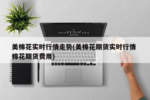 美棉花实时行情走势(美棉花期货实时行情 棉花期货费用)