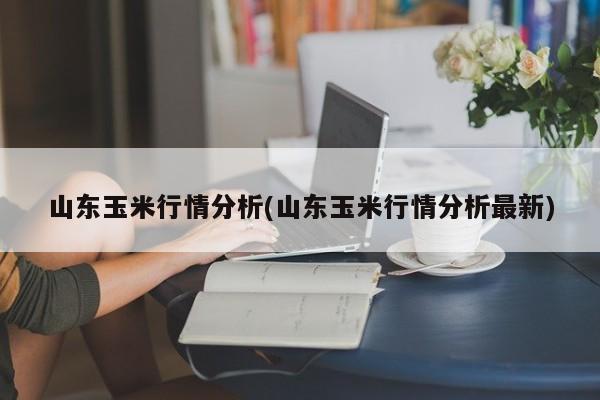 山东玉米行情分析(山东玉米行情分析最新)