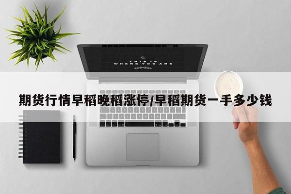 期货行情早稻晚稻涨停/早稻期货一手多少钱