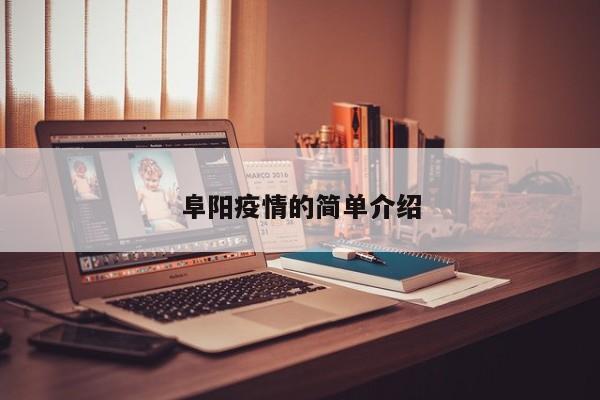 阜阳疫情的简单介绍
