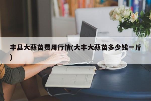 丰县大蒜苗费用行情(大丰大蒜苗多少钱一斤)