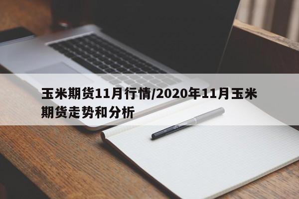玉米期货11月行情/2020年11月玉米期货走势和分析